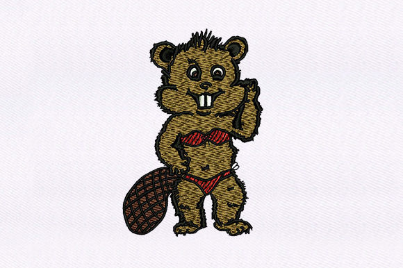 Swimmer Beaver Design Review